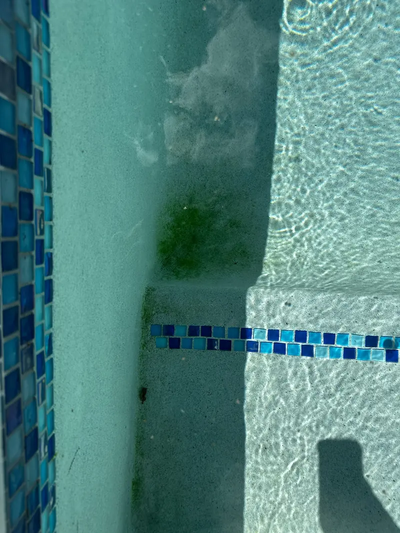Glass tile accent on a pool step under clear water
