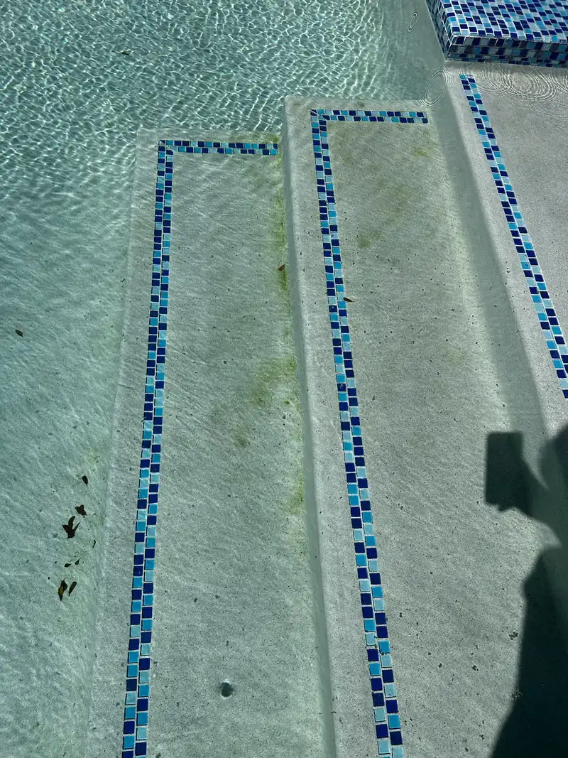 Blue mosaic tile lines on the pool steps, seen from above