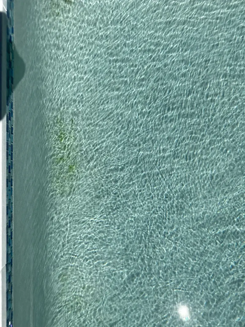 Close-up of the pool wall finish just below the waterline